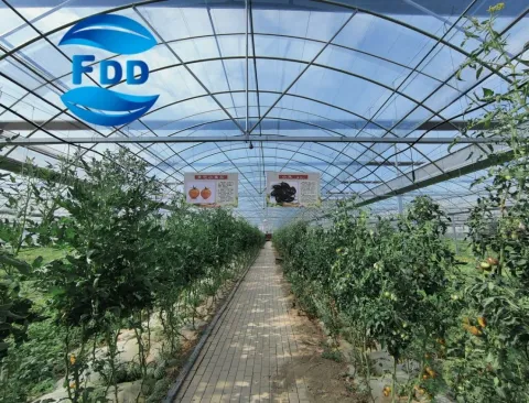 FDD Covering Greenhouse Film 120 -200 Micron UV Resistant Agricultural Greenhouse Film