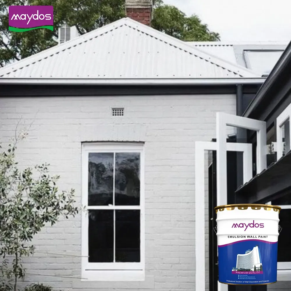 Maydos Water Based Exterior Concrete Wall Paint