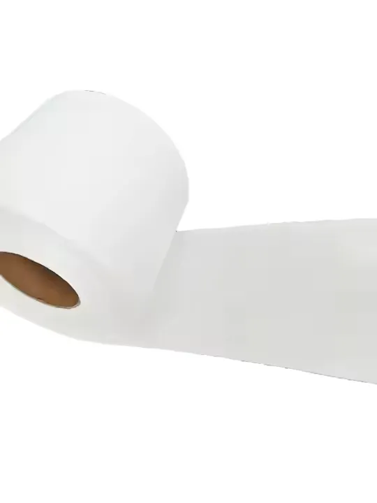 SS Spunbond Nonwoven Fabric Durable and High-Performance for Industrial Use