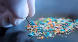 Microplastics Around Us: What We Know and Why It Matters