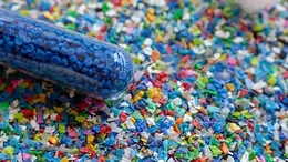 Bacteria and the Future of Plastic Waste Solutions