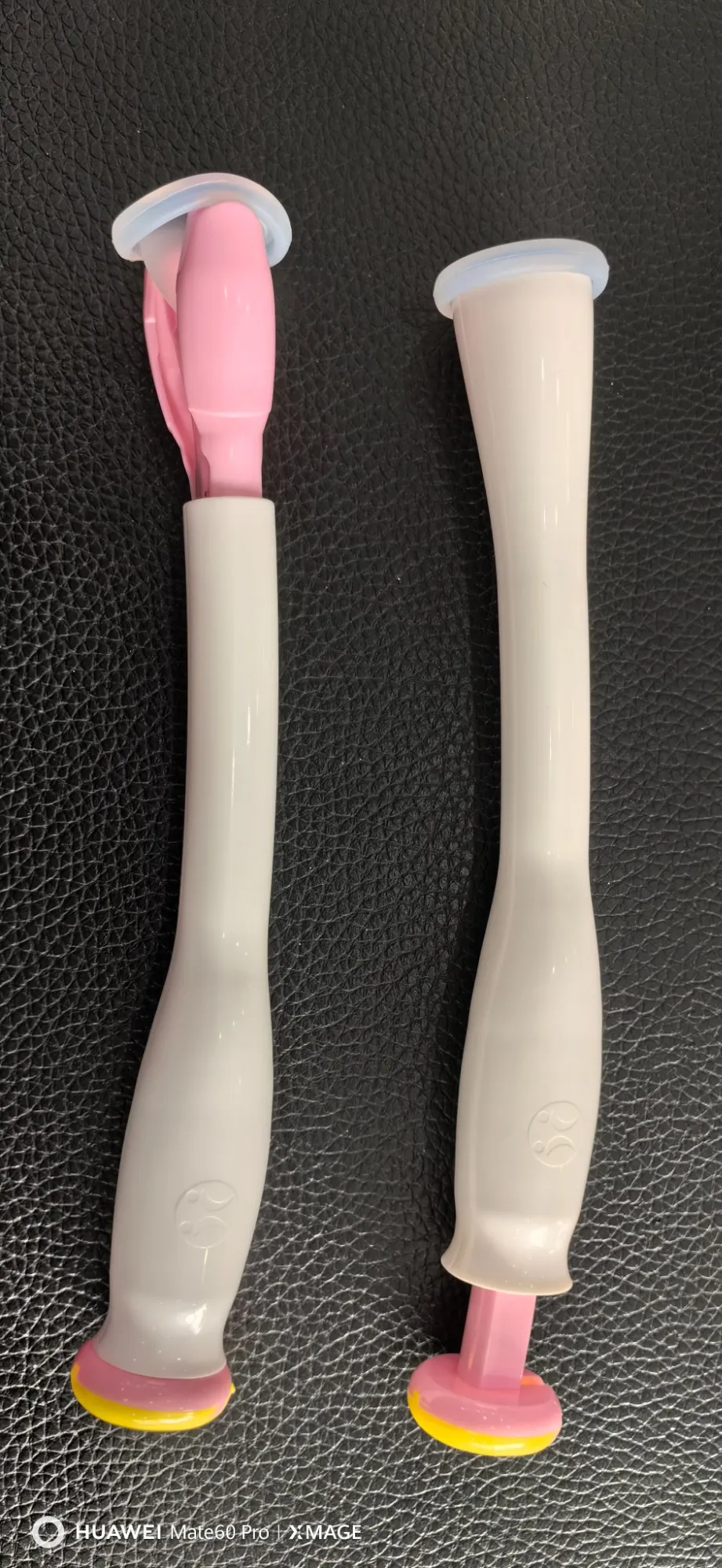 DISPOSABLE SEMEN CONVEYOR