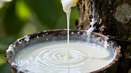 Oct 21 Qingdao STR20 Rubber Price Up