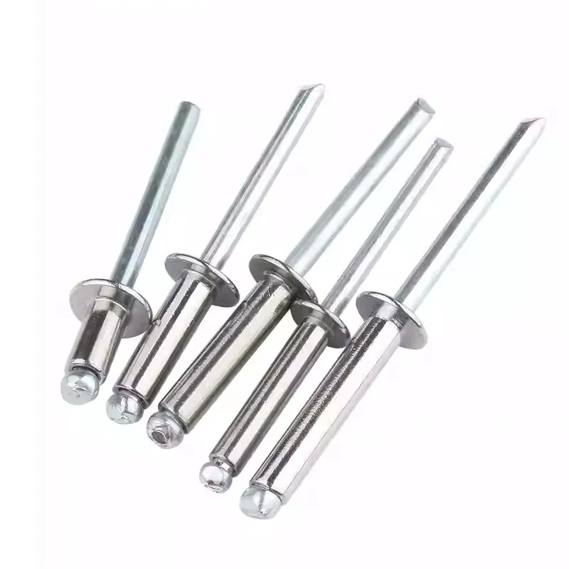 Round head blind rivet