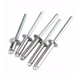 Round head blind rivet