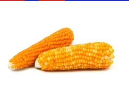  Corn