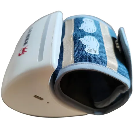 Intelligent pulse diagnostic device 2