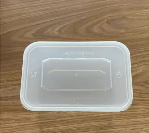 650ML PLASTIC LUNCH BOX