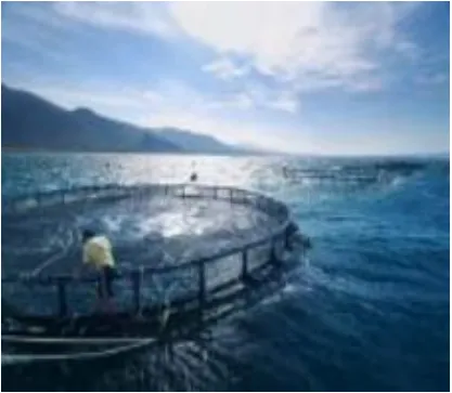 High-performance Marine Anti-fouling Materials And Technologies