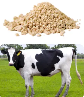 سلسلة الأعلاف