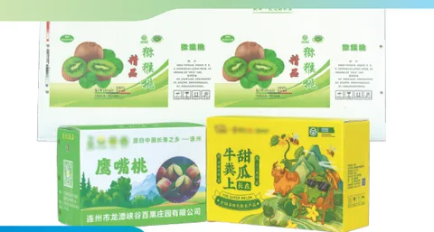 Water-based Ink for Hollow Board