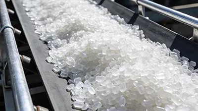 PP Market Analysis (January 7)