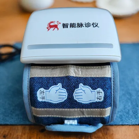 Intelligent pulse diagnostic device 5