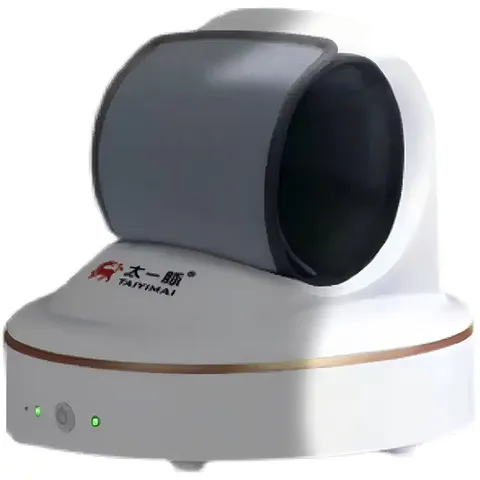 Intelligent pulse diagnostic device 4