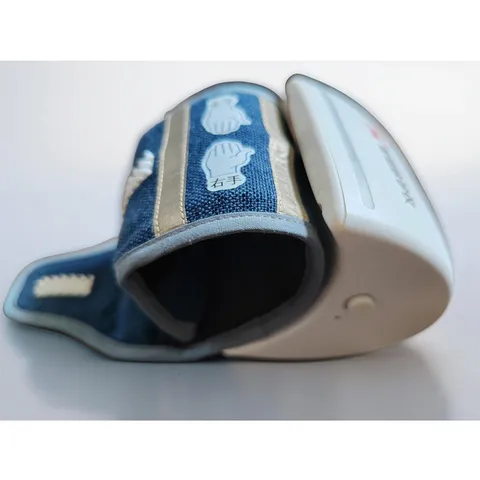 Intelligent pulse diagnostic device 3