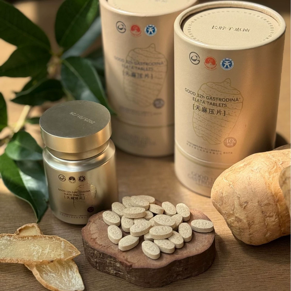 Gastrodia elata tablets