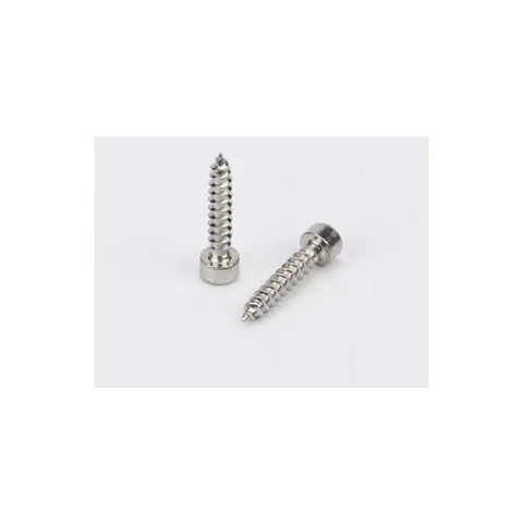Hexagon socket head cap screws