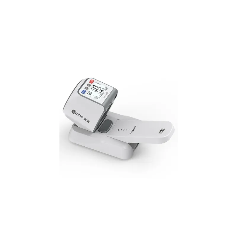Blood Pressure Monitor 4