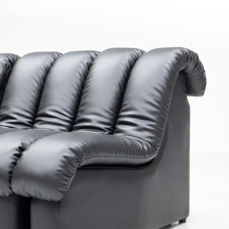 Serpentine sofa-modern sofa with multi-module combination, suitable for large-sized apartment.