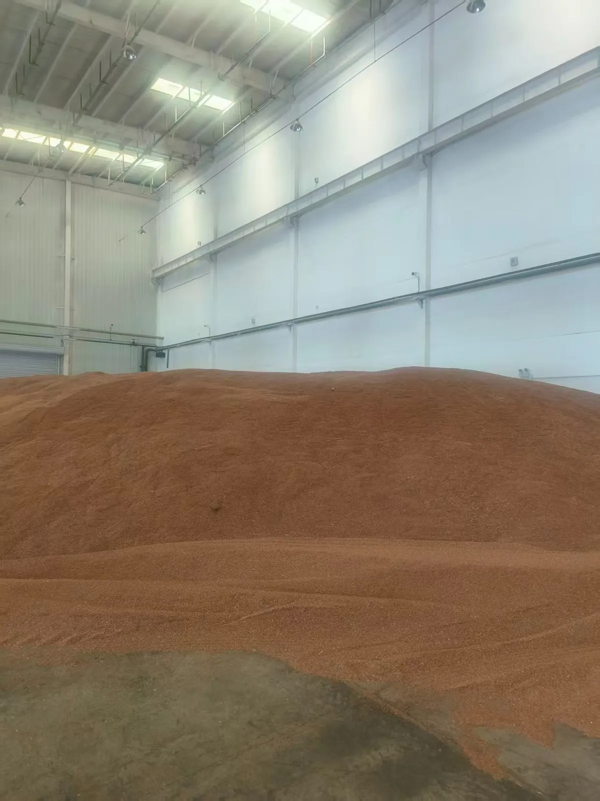  flaxseed （import）