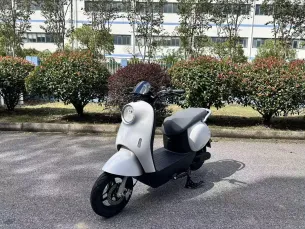 电动两轮车（散件）Electric Two‑Wheelers (CKD Kits) SHT2512