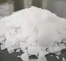 China Factorfy of Sodium Hydroxide Pearls/Flakes 99% Caustic Naoh
