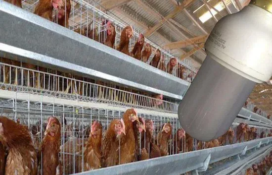 10-20 Mesh Calcium Sand for Chicken Feeding Ca>37%