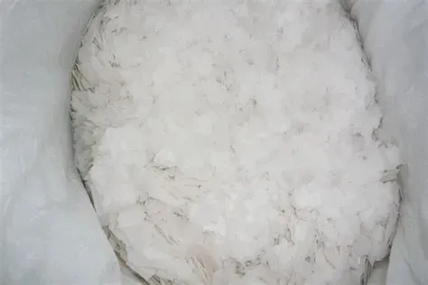 Fake Naoh Factory Price