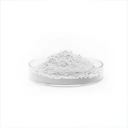Anatase Titanium Dioxide TiO2 Powder DHA-100 Tianduohua Brand - High Pigment Strength for Coatings