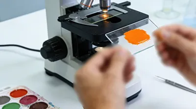 Pigment Orange: Properties, Applications & Industry Uses