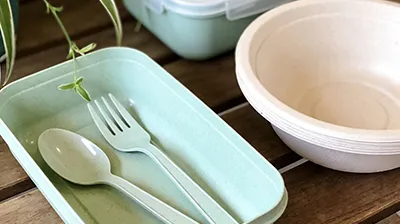 PET Plastic Safety: BPA-Free Facts and Recycled PET Regulations