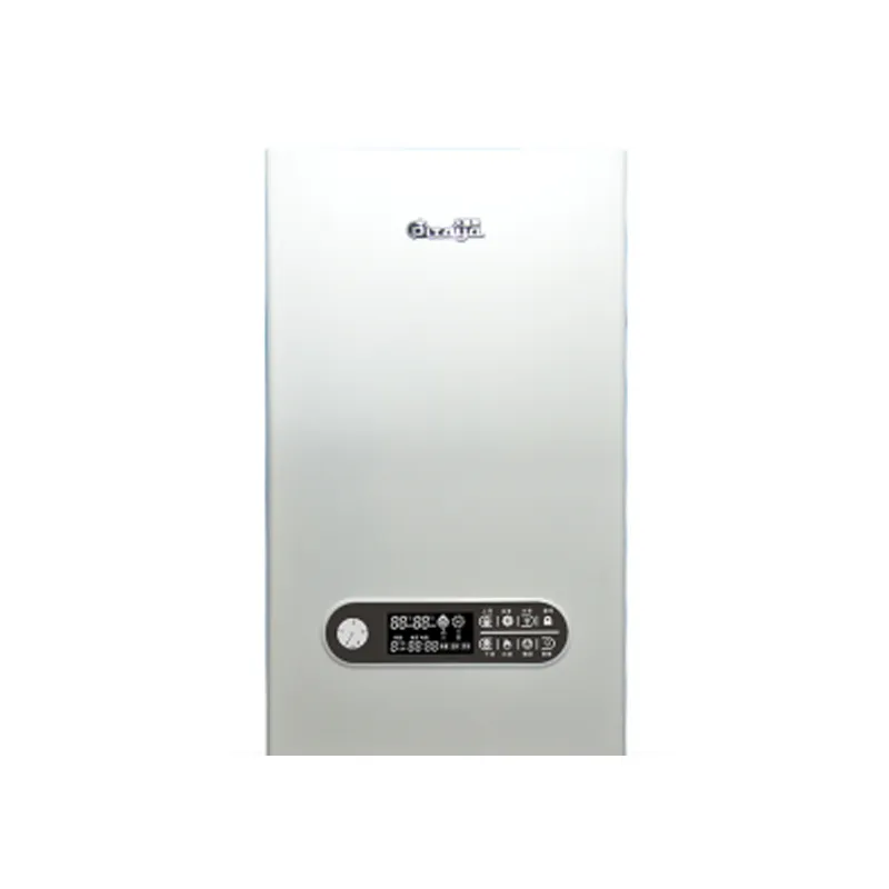 Gas wall-mounted boiler