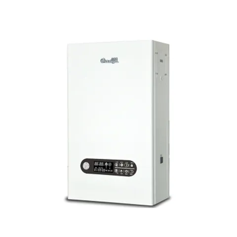 Gas wall-mounted boiler