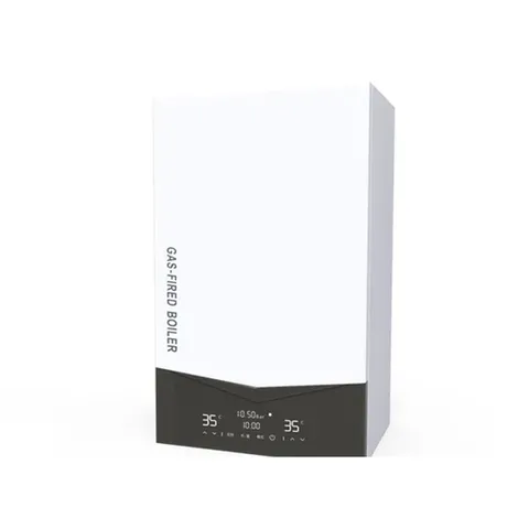 Gas wall-mounted boiler