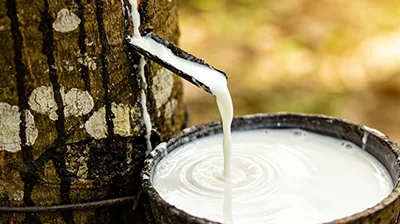 Actualizaci&oacute;n del mercado de caucho natural (10 de marzo)