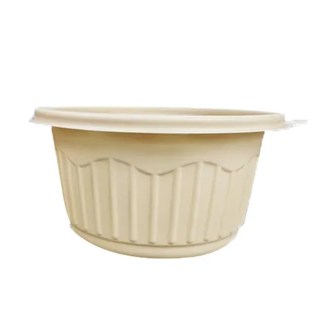 Bo&icirc;te &agrave; d&eacute;jeuner en plastique de 500 ml