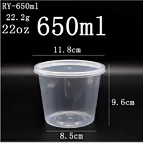 650ML PLASTIC LUNCH BOX