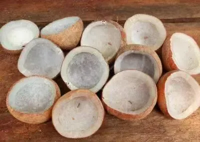 White Coconut Dry Meat (Copra)