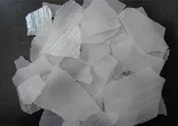 TIAN YE 98% Caustic Soda Flakes